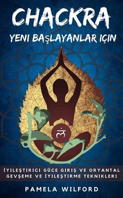 Chakra Yeni Başlayanlar için