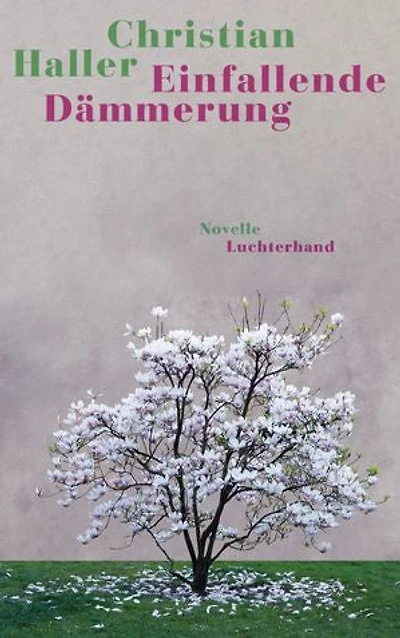 Einfallende Dämmerung: Novelle