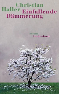Einfallende Dämmerung: Novelle
