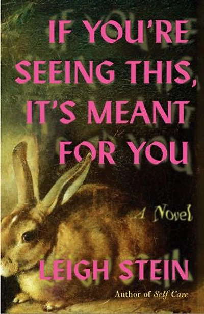 If You're Seeing This, It's Meant for You: A Novel