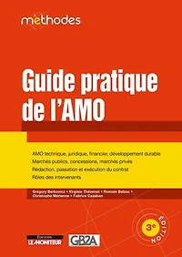 Guide pratique de l'AMO: AMO technique, juridique, financier - Marchés publics, concessions, marchés privés
