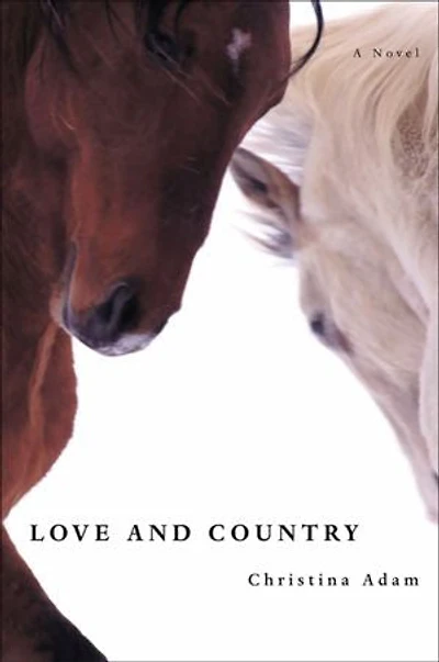 Love and Country: A Novel
