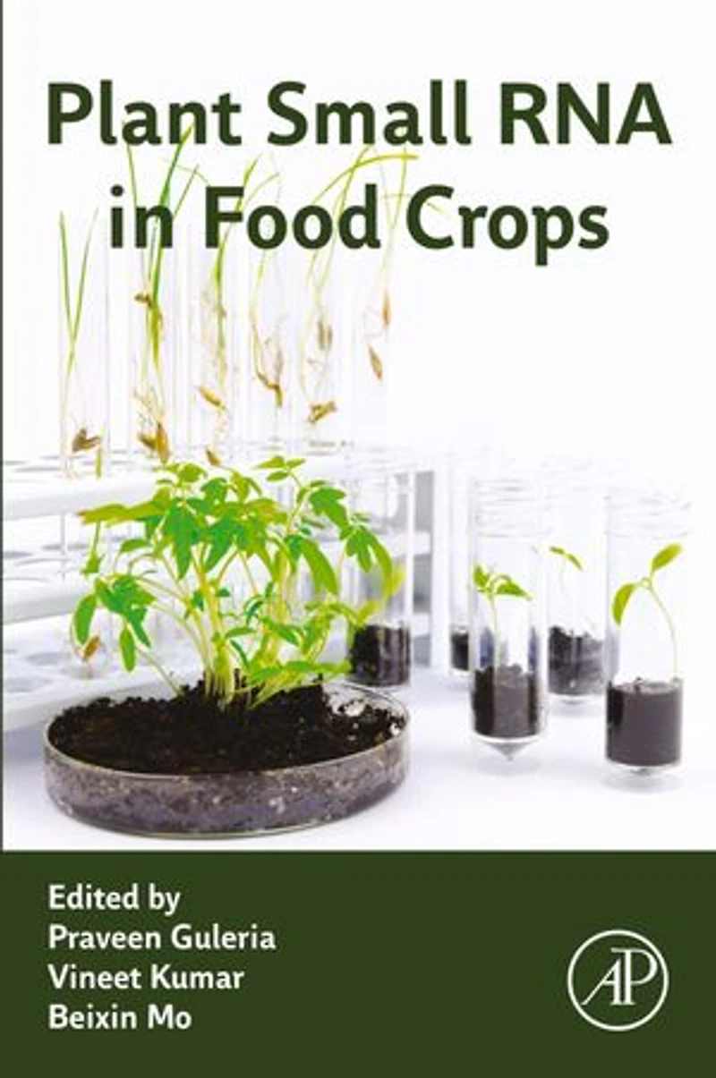 Plant Small RNA Food Crops