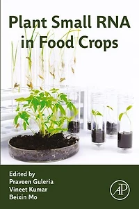Plant Small RNA Food Crops