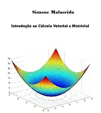 Introdução ao Cálculo Vetorial e Matricial