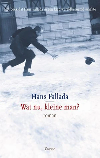 Wat nu, kleine man?: roman