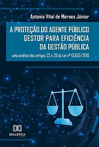 A Proteção do Agente Público Gestor para Eficiência da Gestão Pública: uma análise dos artigos 22 e 28 da Lei nº 13.655/2018