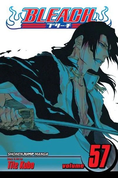 Bleach, Vol. 57: Out of Bloom