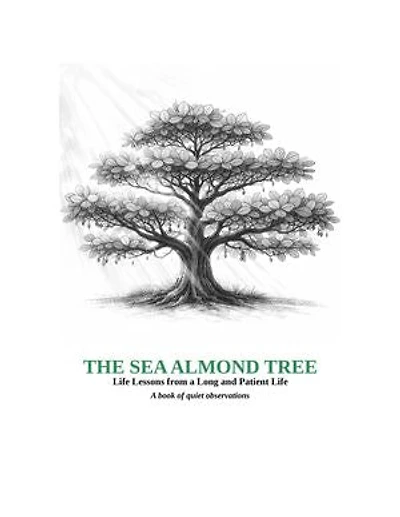The Sea Almond Tree: Quiet Reflections on Nature, Stillness and the Rhythm of Everyday Life