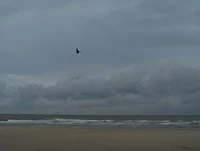 101 gedichten voor het slapengaan