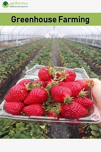 Greenhouse Farming
