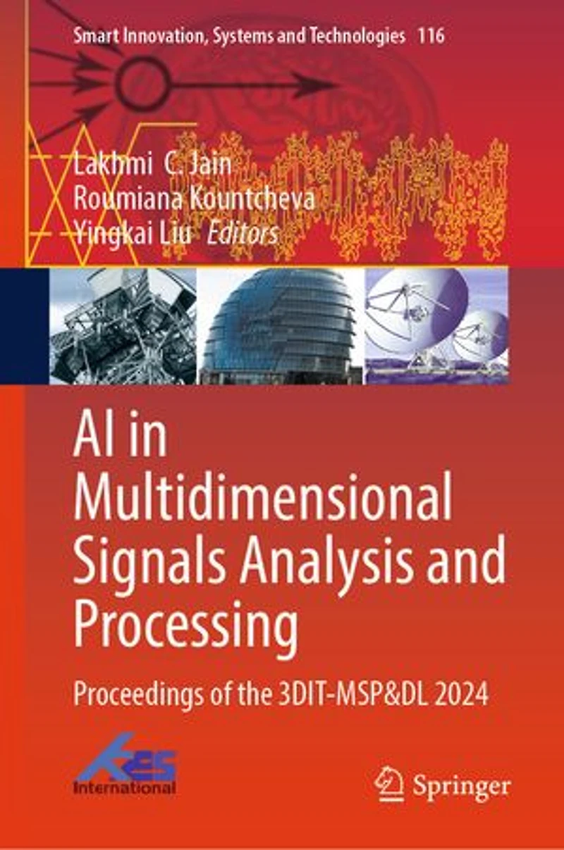 AI Multidimensional Signals Analysis and Processing: Proceedings of the 3DIT-MSP DL 2024