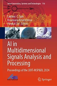 AI Multidimensional Signals Analysis and Processing: Proceedings of the 3DIT-MSP DL 2024