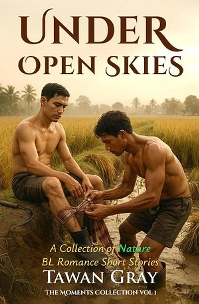 Under Open Skies - A Collection of Nature BL Romance Short Stories: The Moments Collection, #1