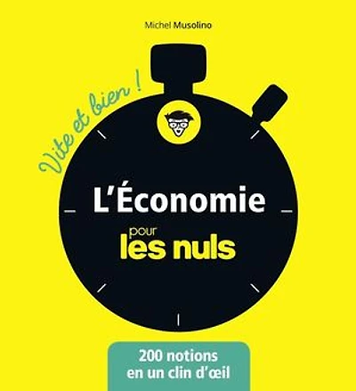 L'économie pour les Nuls - Vite et Bien !