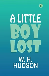 A Little Boy Lost