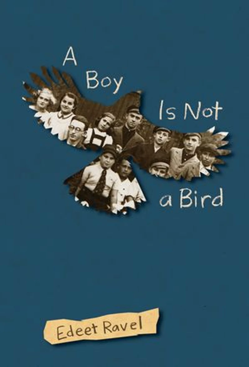 a Boy Is Not Bird