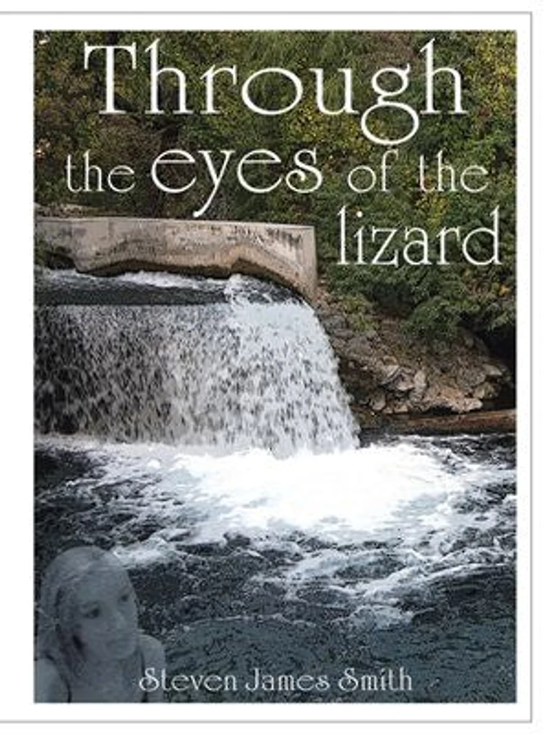 Through The Eyes Of Lizard