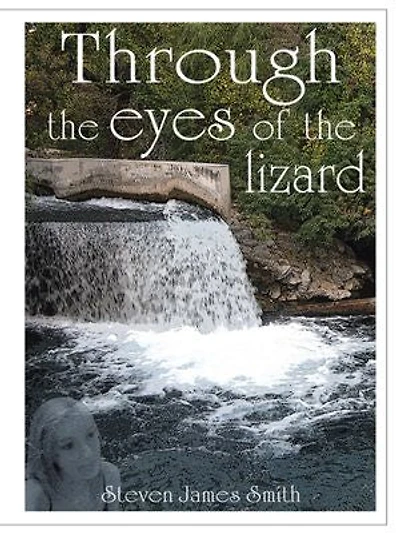 Through The Eyes Of Lizard