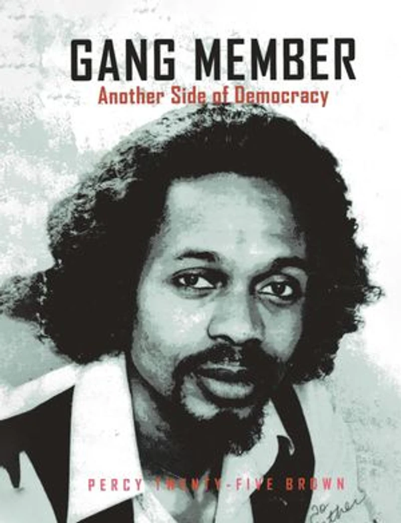 GANG MEMBER: ANOTHER SIDE OF DEMOCRACY