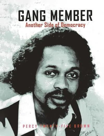 GANG MEMBER: ANOTHER SIDE OF DEMOCRACY