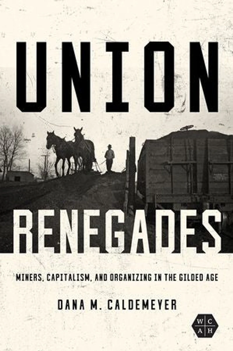 Union Renegades: Miners, Capitalism, and Organizing in the Gilded Age