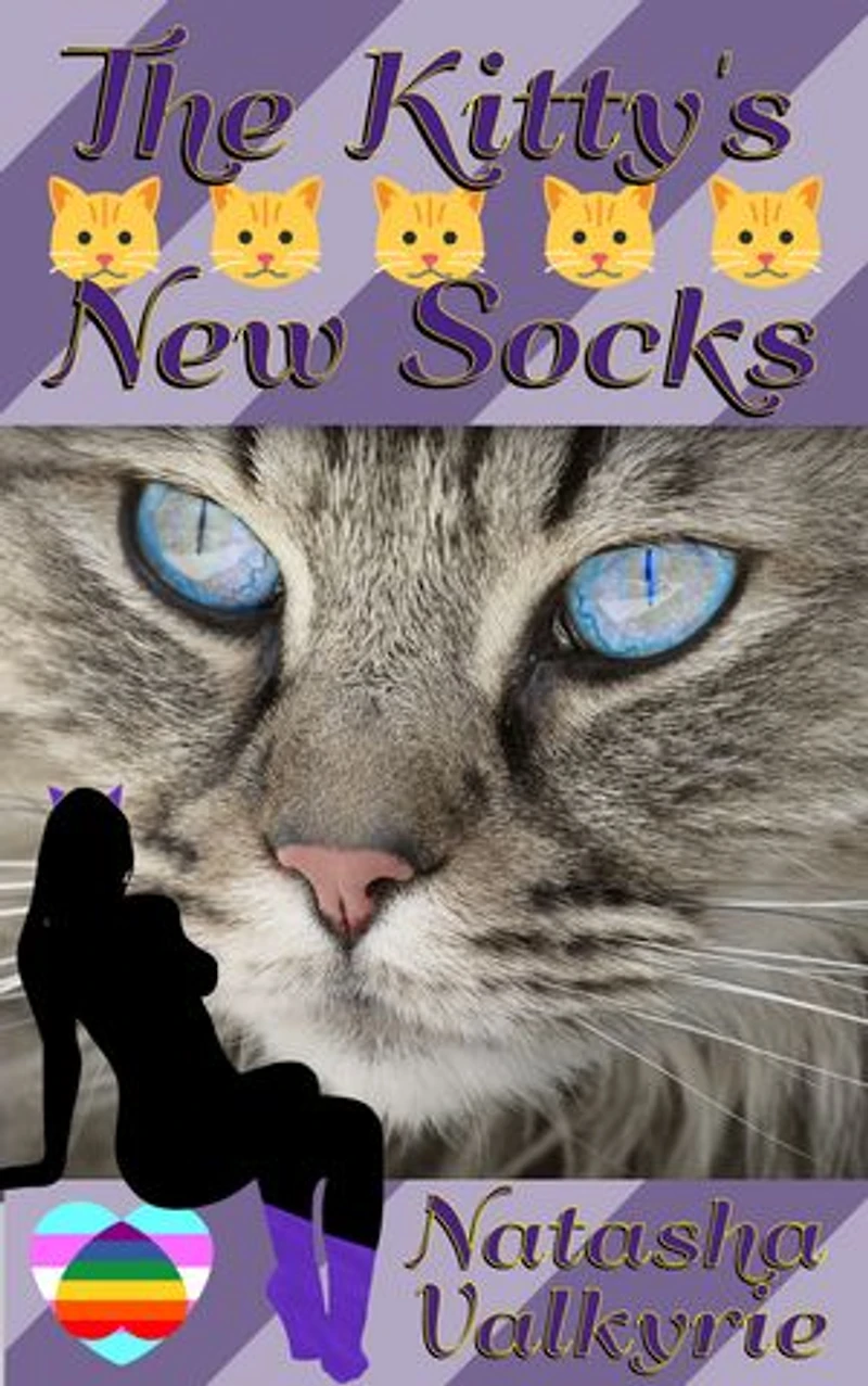 The Kitty's New Socks