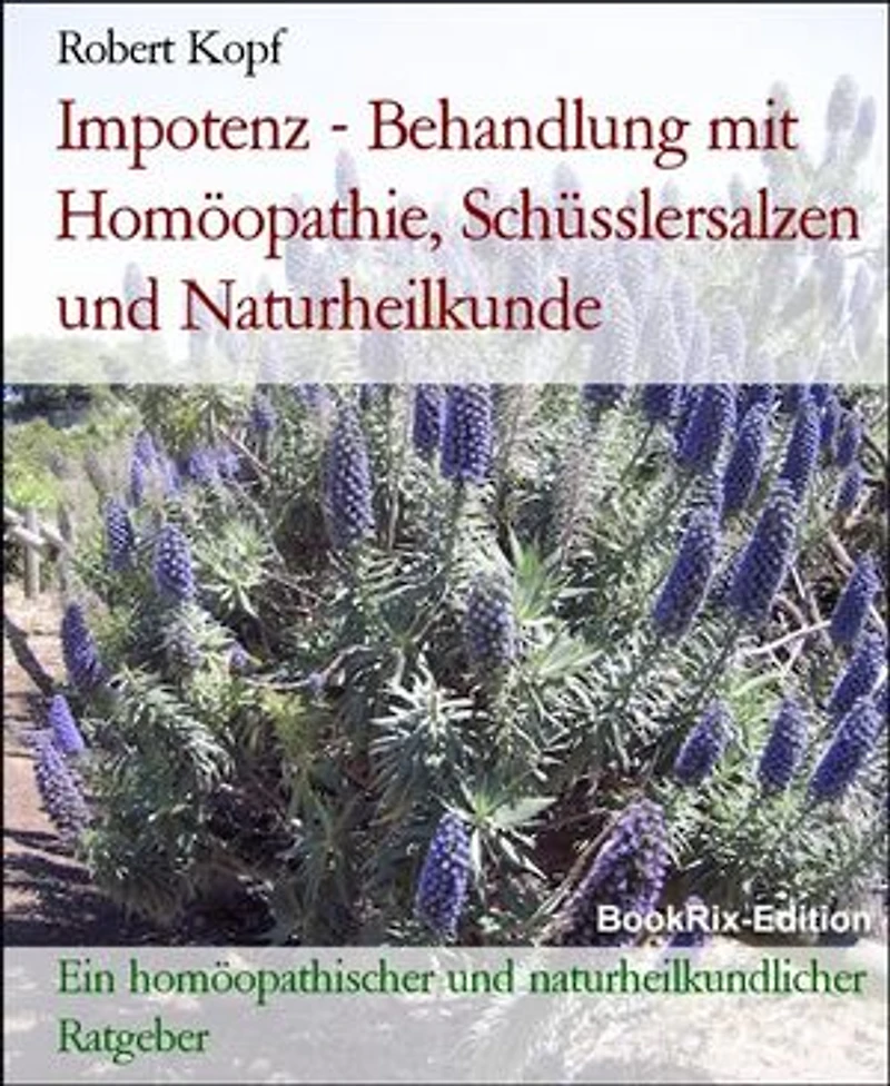 Impotenz - Behandlung mit Homöopathie, Schüsslersalzen und Naturheilkunde: Ein homöopathischer und naturheilkundlicher Ratgeber