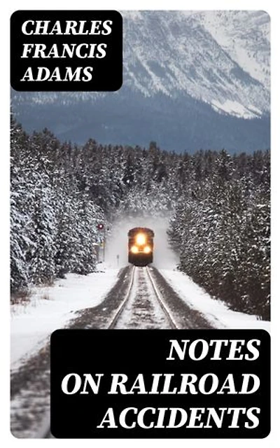 Notes on Railroad Accidents: Enriched edition.