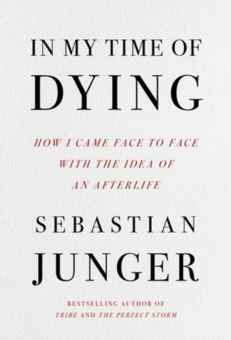 In My Time of Dying: How I Came Face to Face with the Idea of an Afterlife