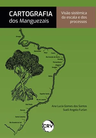 Cartografia dos manguezais: Visão sistêmica da escala e dos processos