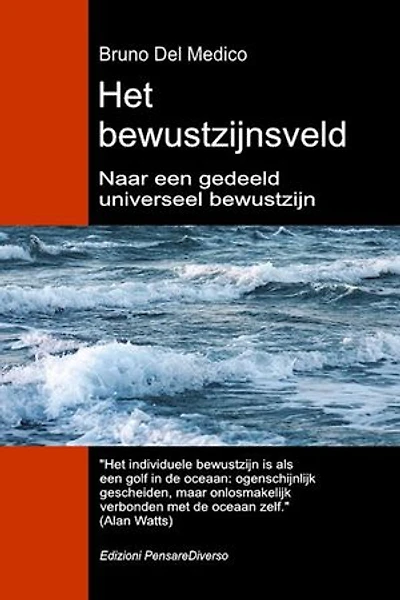 Het bewustzijnsveld. Naar een gedeeld universeel bewustzijn: De nieuwe veldentheorie transformeert het individuele bewustzijn in een kosmische realiteit.