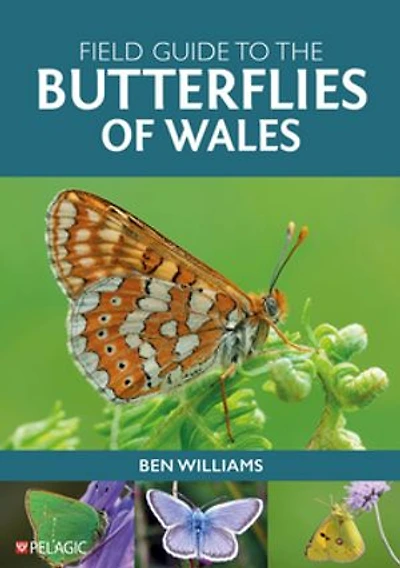 Field Guide to the Butterflies of Wales