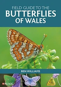 Field Guide to the Butterflies of Wales