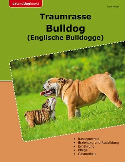 Traumrasse Bulldog: Englische Bulldogge