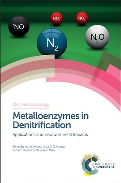 Metalloenzymes in Denitrification: Applications and Environmental Impacts