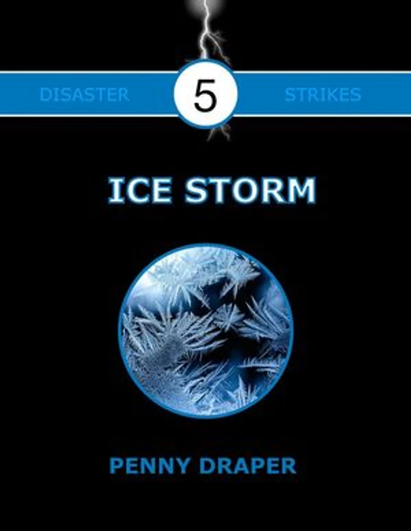 Ice Storm: Disaster Strikes!, #5