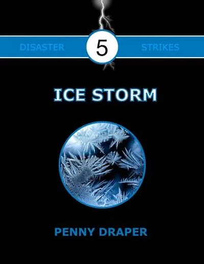 Ice Storm: Disaster Strikes!, #5