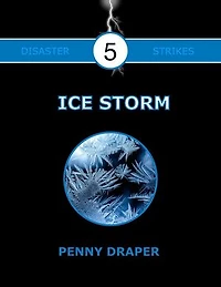 Ice Storm: Disaster Strikes!, #5