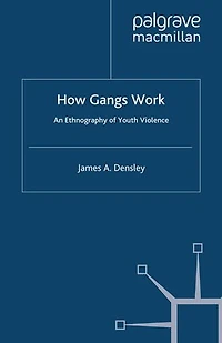 How Gangs Work: An Ethnography of Youth Violence