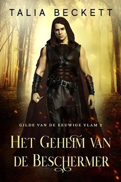 Het Geheim van de Beschermer: Gilde van de Eeuwige Vlam, #2