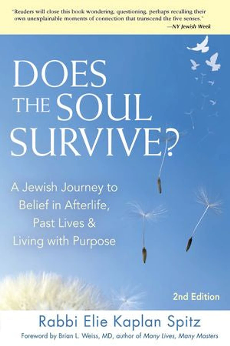 Does The Soul Survive? (2nd Edition): A Jewish Journey To Belief Afterlife, Past Lives & Living With Purpose