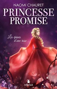 Les épines d'une rose