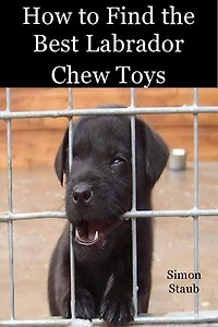 How to Find the Best Labrador Chew Toys: Dog training, #4