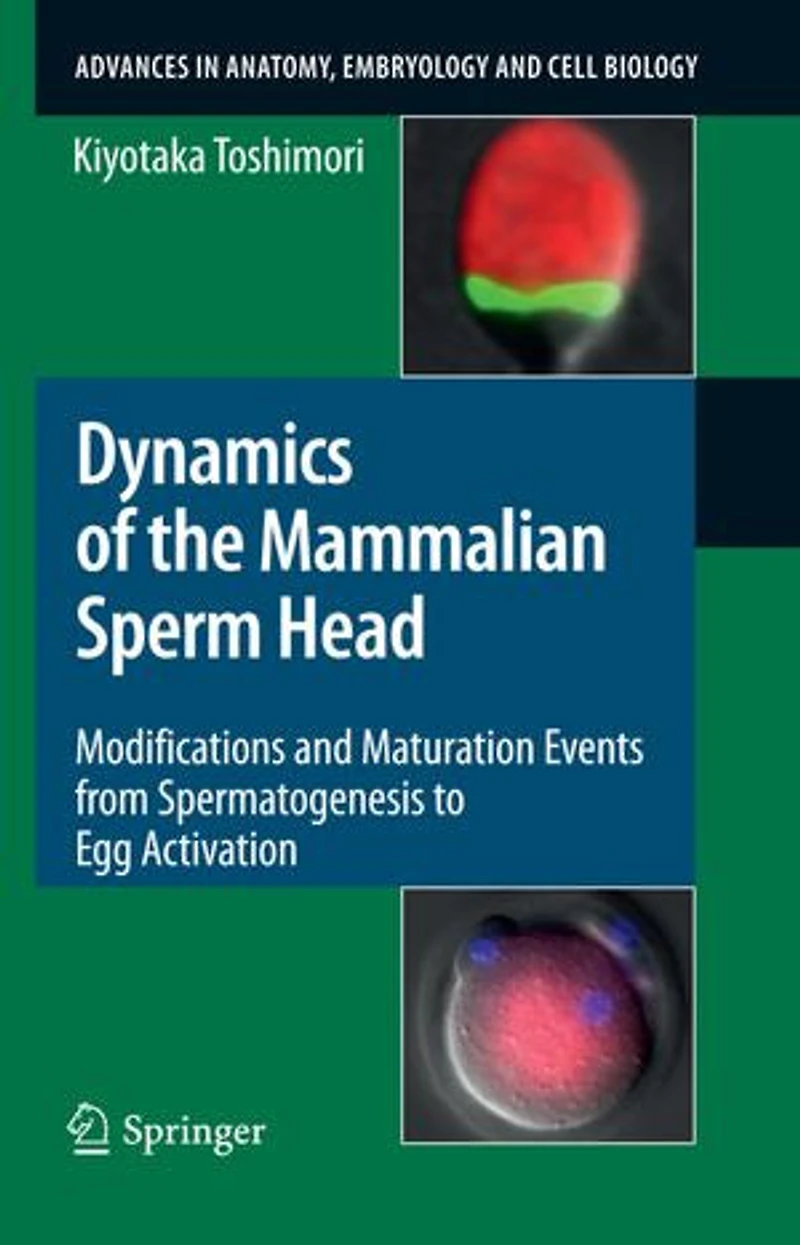 Dynamics of the Mammalian Sperm Head: Modifications and Maturation Events From Spermatogenesis to Egg Activation