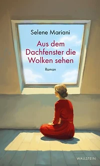 Aus dem Dachfenster die Wolken sehen: Roman
