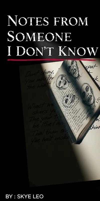 Notes from Someone I Don’t Know: Stranger's Diary