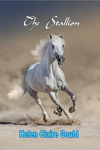 The Stallion
