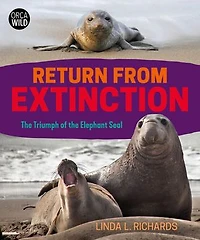 Return from Extinction: the Triumph of Elephant Seal