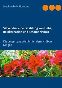 Satyendra, eine Erzählung von Liebe, Reinkarnation und Schamanismus: Die vergessene Welt hinter den sichtbaren Dingen